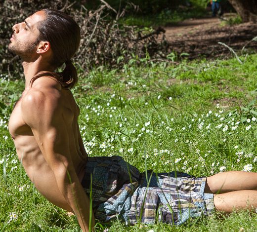 Urdhva Mukha Svanasana